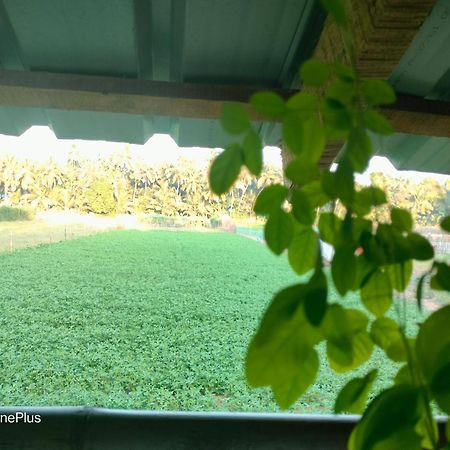 Ocean Sparrow Beach Stay Gokarna  Rom bilde